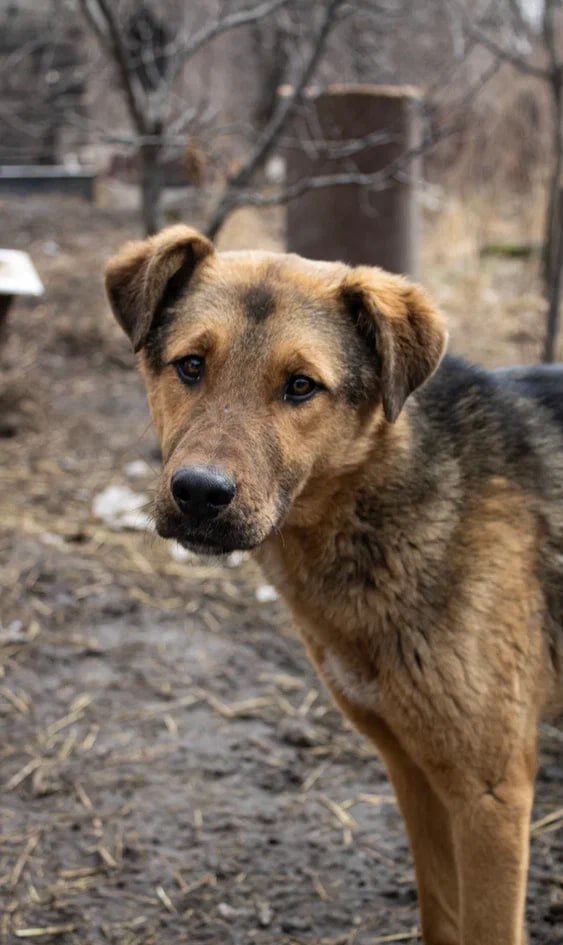 Севучка она же Севунья